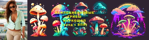 дмт Зерноград