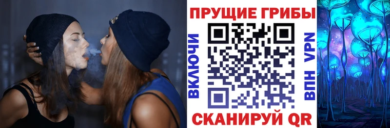 Купить  Игарка  Псилоцибиновые грибы GOLDEN TEACHER 